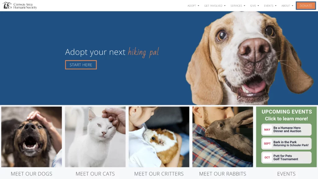 Two Pines Creative Work - Web Design NH, Conway Humane Society